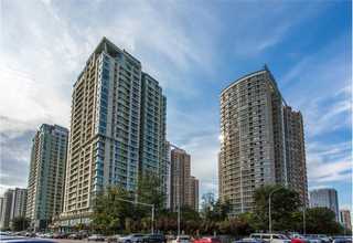 河南特色混凝土保護劑